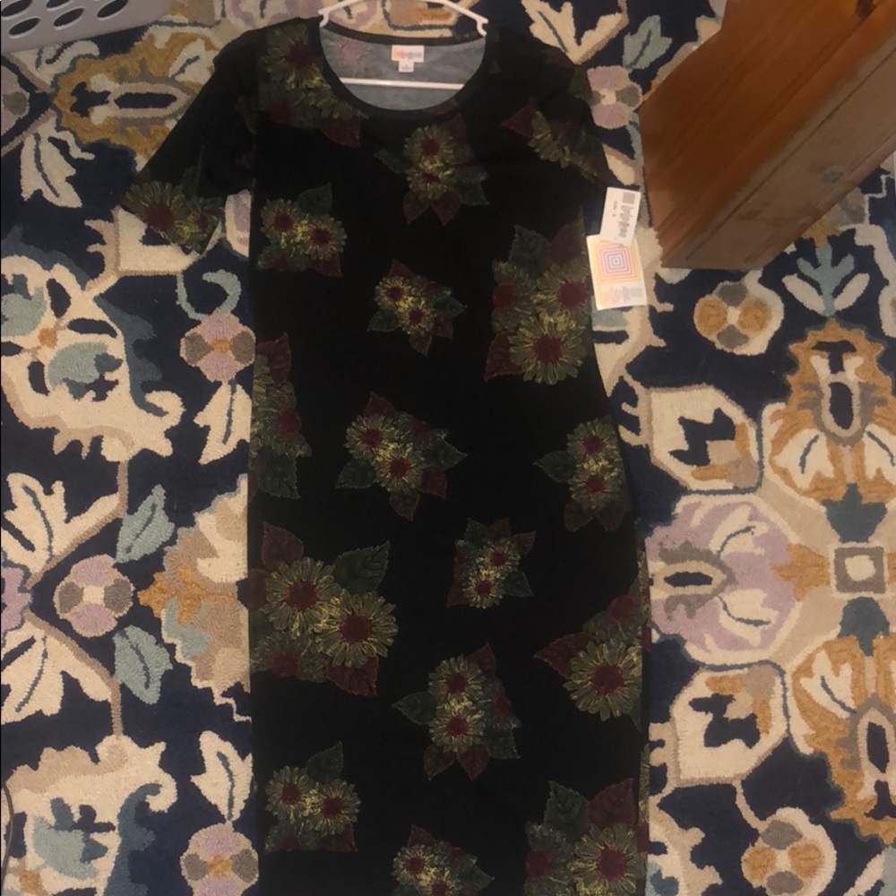 NWT LulaRoe Julia